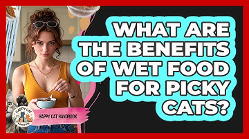 What Are The Benefits Of Wet Food For Picky Cats? - Happy Cat Handbook