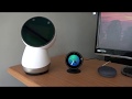 Joke Time - Jibo, Alexa and Google