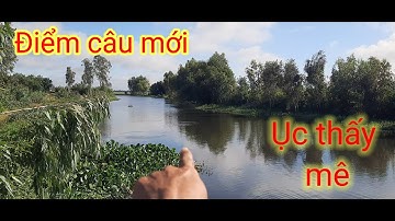 Câu cá tra sông // Thô đia vĩnh Hưng dẫn vào điểm câu mới rất nhiều cá
