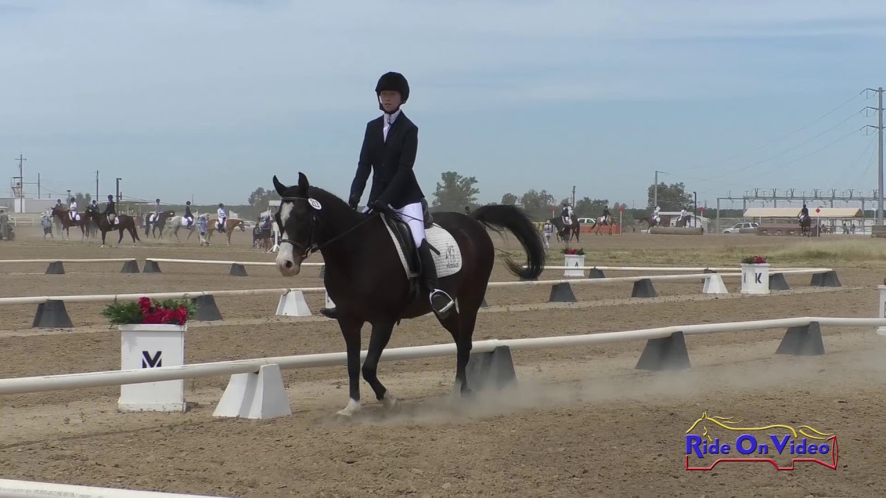horseshoe bend 213D Nicole Fink on Mardi Gras Intro Dressage FCHP April 2019