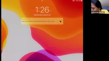 Padma Srinivasan - Conductors and minimal discriminants of hyperelliptic curves - AGONIZE conference