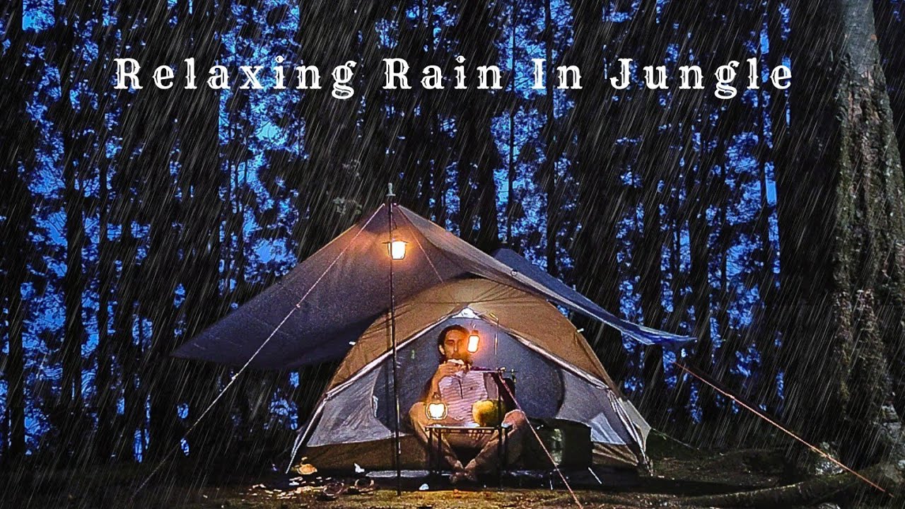 SOLO CAMPING HEAVY RAIN IN JUNGLE - RELAXING SOUND OF RAIN & NATURE ...