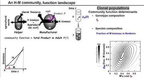 Video walk through for the article by Xie and Shou