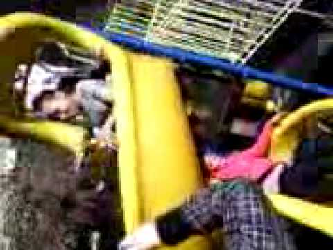 everyone including rosie pileing down thee slide- lottie's video (Y)x