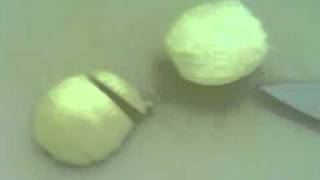 Video0034.3gp