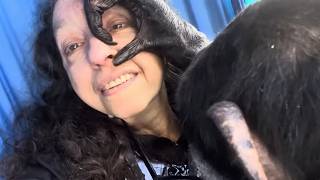 Chimpanzee Grooming Woman Outdoors