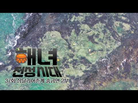 삼달리어촌계 송금연 해녀 2부 | 해녀 전성시대 EP.37 | KBS제주 260811방송