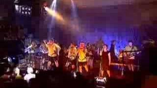 Tleskač - Poslední dvě volné labutě