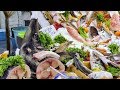 Ballaro', the Biggest Fresh Fish Market in Palermo, Sicily, Italy