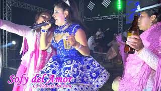 Video voorbeeld van "Sofy Del Amor  Mix La Jaranista Concierto 2019"