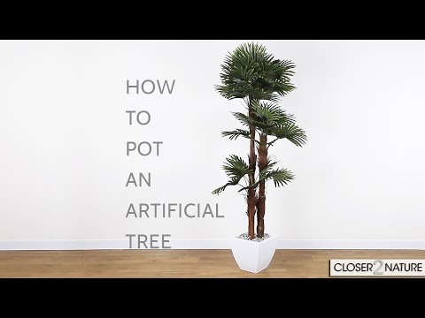 ვიდეო: როგორ დავაფიქსიროთ ხის იმიტაცია