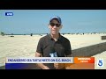 Endangered sea turtle nests on Orange County beach