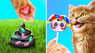 Digital Circus Saved This Kitten 😻 *Awesome Pets Stories And Hack For Pets Owmers*