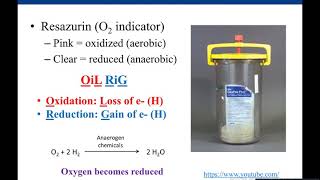 Lab 2-8: Anaerobic Jar and Thioglycollate Medium