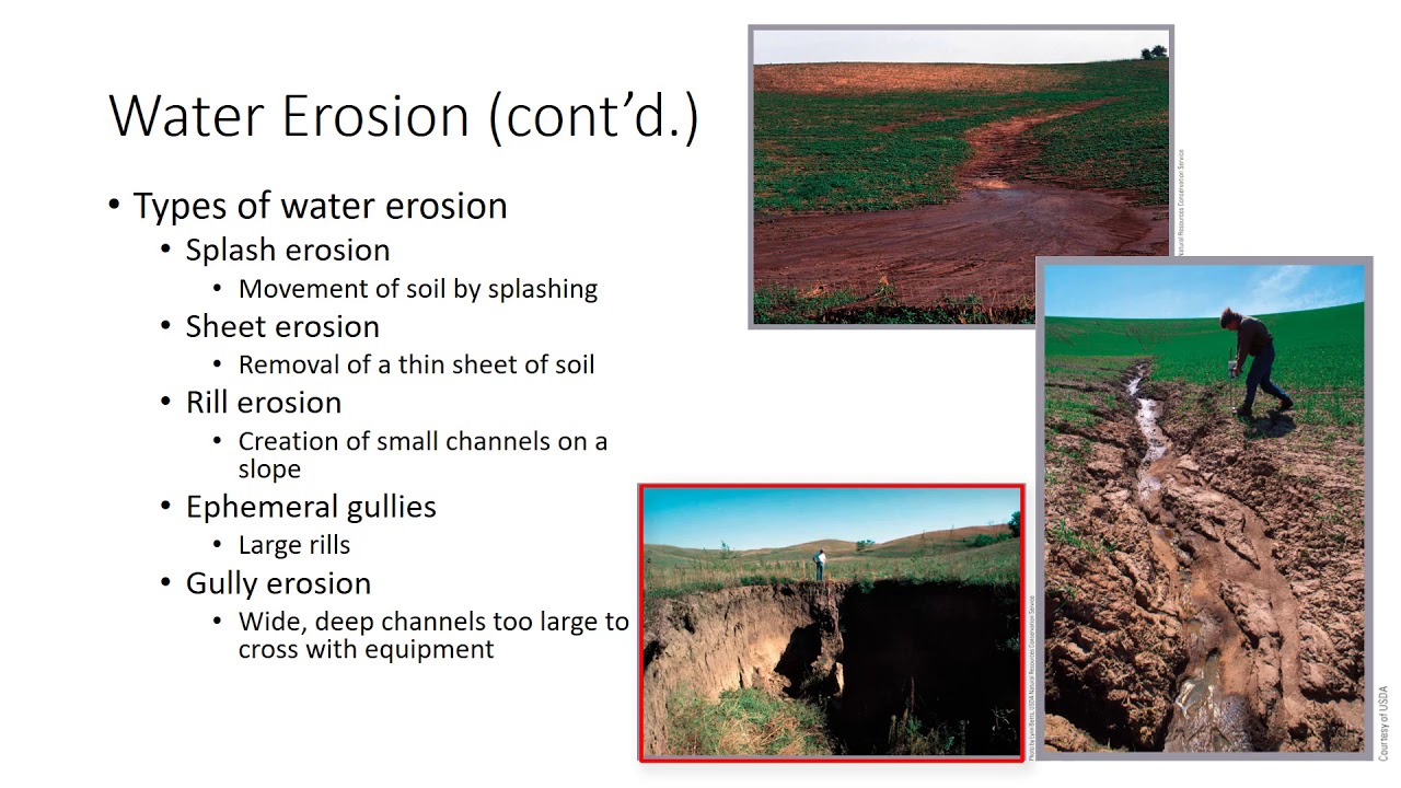 different kinds of soil erosion