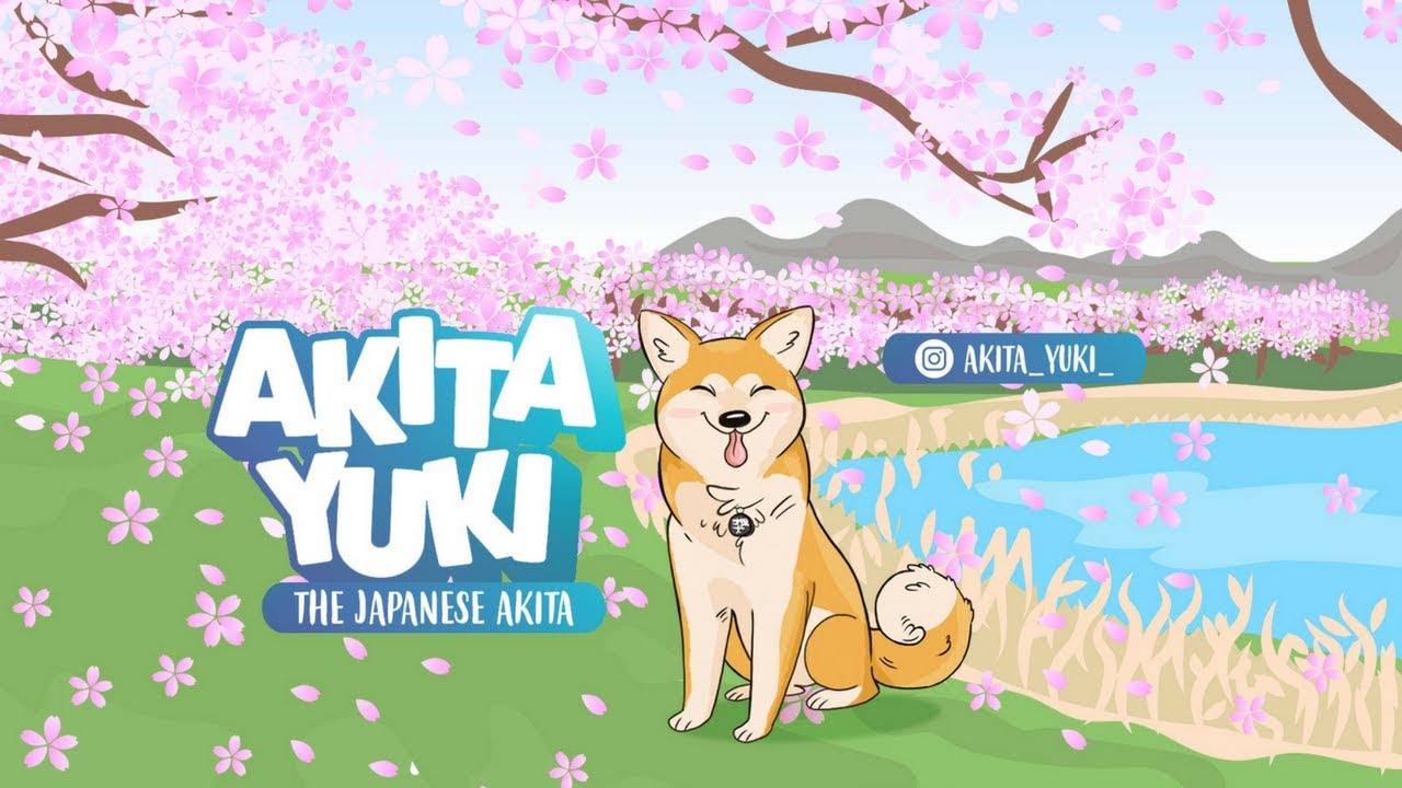 AKITA INU - Official Trailer (2017) | 秋田犬 - YouTube