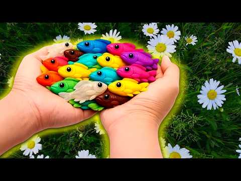 The Brave Fish and the Magic Eggs ✨Catching Colorful Ornamental Fish 🐠