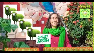 Noticias Agroecológicas - Huerta urbana biodinámica - Prog 28 Temp 26.  Ana Armendariz, agricultora.