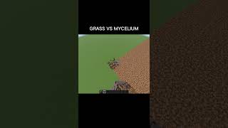 Grass vs MYCELIUM block #shorts #viral #smartypie #gamerfleet #minecraft