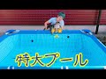 オオトカゲと過ごす夏休み〜特大プールで夏を満喫〜