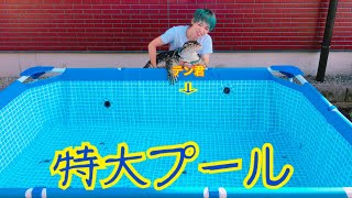 オオトカゲと過ごす夏休み〜特大プールで夏を満喫〜