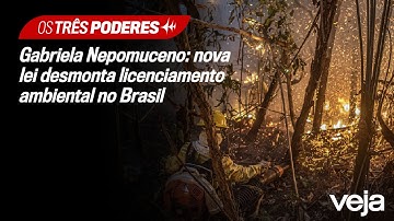 Gabriela Nepomuceno: nova lei desmonta licenciamento ambiental no Brasil