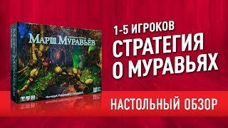 видео: Настольная игра «МАРШ МУРАВЬЕВ». ОБЗОР: КАК ИГРАТЬ + МНЕНИЕ // картинка: Настольная игра «МАРШ МУРАВЬЕВ». ОБЗОР: КАК ИГРАТЬ + МНЕНИЕ //