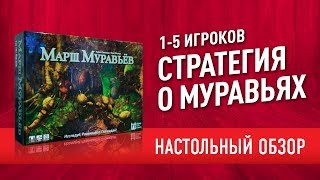 Настольная игра «МАРШ МУРАВЬЕВ». ОБЗОР: КАК ИГРАТЬ + МНЕНИЕ // 