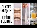 How to make plates slants and liquid culture for mushroom cultivation  agar recipe  lab skills