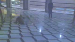 Oman bboys 2009