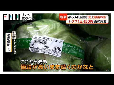 “史上最長”東京都心は34日連続の降雨　「ほぼ倍」レタス1玉450円など野菜高騰　旬の食材も生育不良で「見通し立たず」（2026年09月29日）