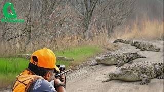 How American Hunters Deal With Millions Of Giant Crocodiles