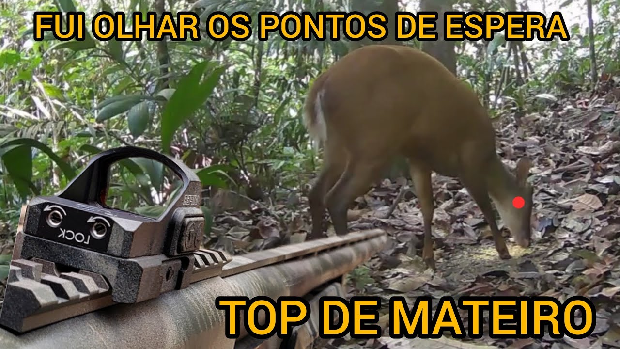 DEU RESULTADO! MATEIRO LAMBENDO SAL, FUI NA CEVA BUSCAR OS ARQUIVOS DAS CÂMERAS E FILMEI TUDO