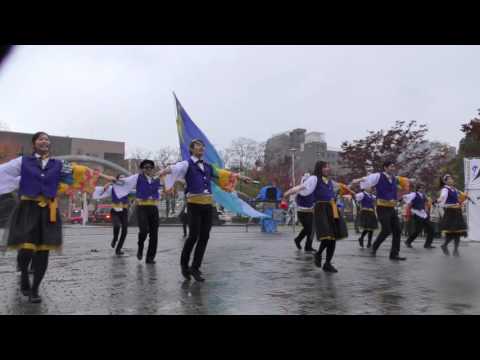「 そら 」四日市よさこい祭り2016【市民公園会場】