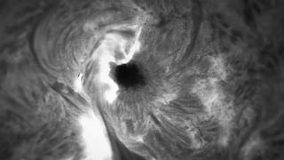 Watch this Sunspot Explode! Captured in Light and Radio