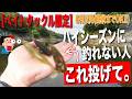 6月から釣れない人必見!このルアー使えば間違いなし!ベイトタックルで投げれる爆釣ルアー3選!