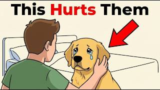 7 Ways You’re Hurting Your Dog’s Feelings 😳 (Without Knowing)