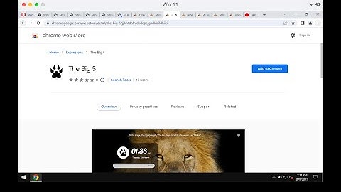 The Big 5 browser-hijacking extension removal.