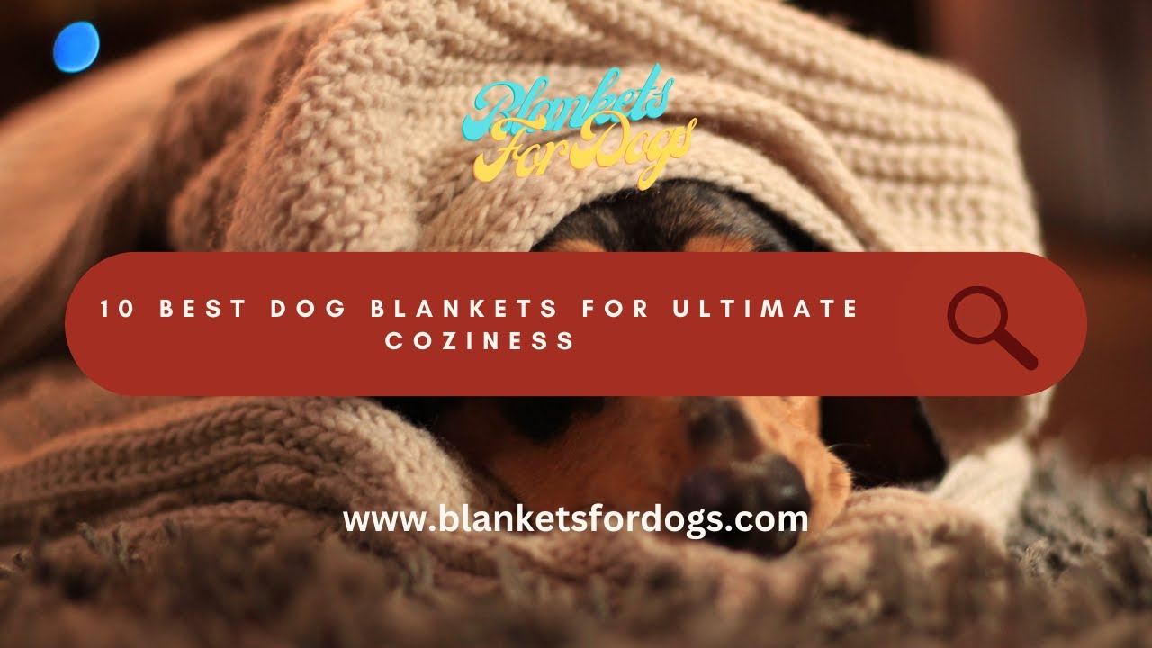 Blankets For dogs Dog Blankets Best Blankets For Dogs 2024 YouTube