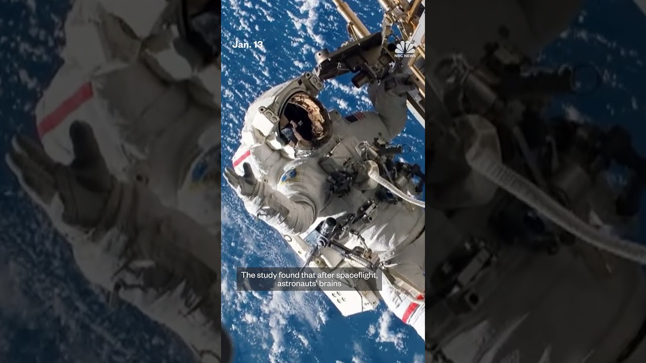 Astronauts’ brains change shape in space, study shows