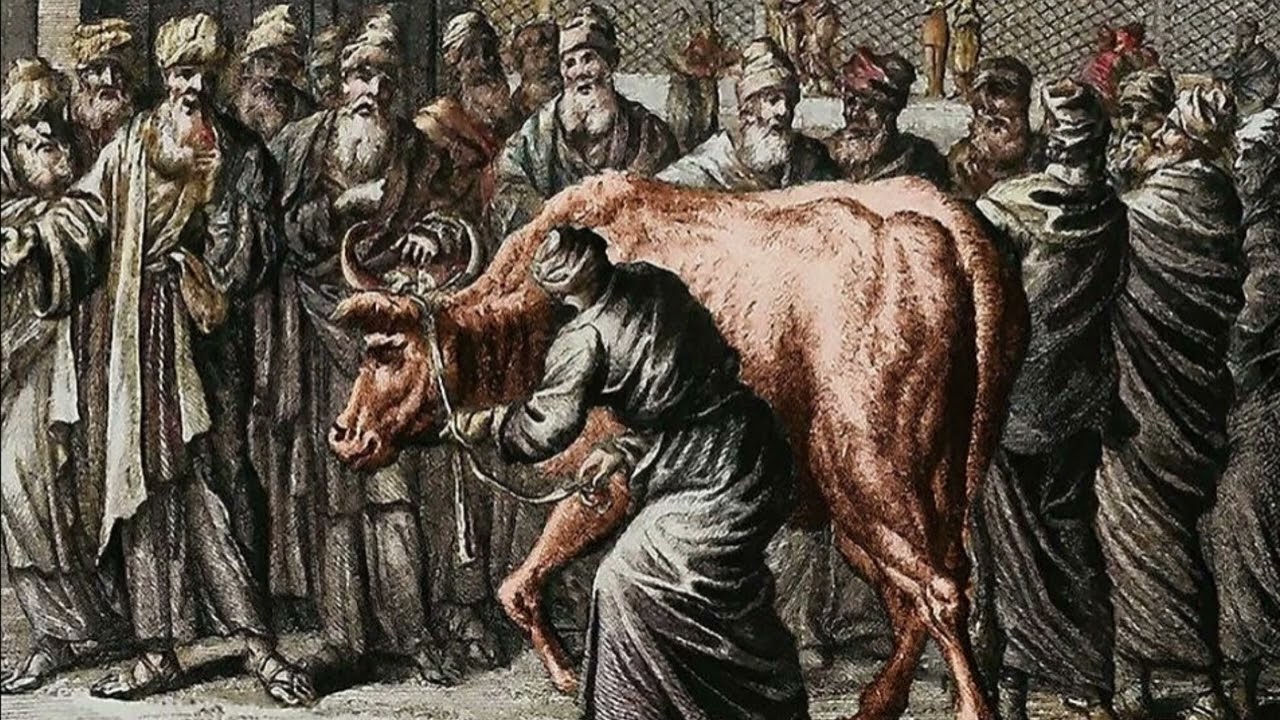 Gaza - Calf | Instrumental Cover