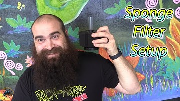 How to Set Up, Use, and Maintain a Sponge Filter for Your Aquarium! 🐠