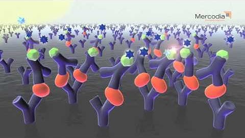 播放 - 技术介绍