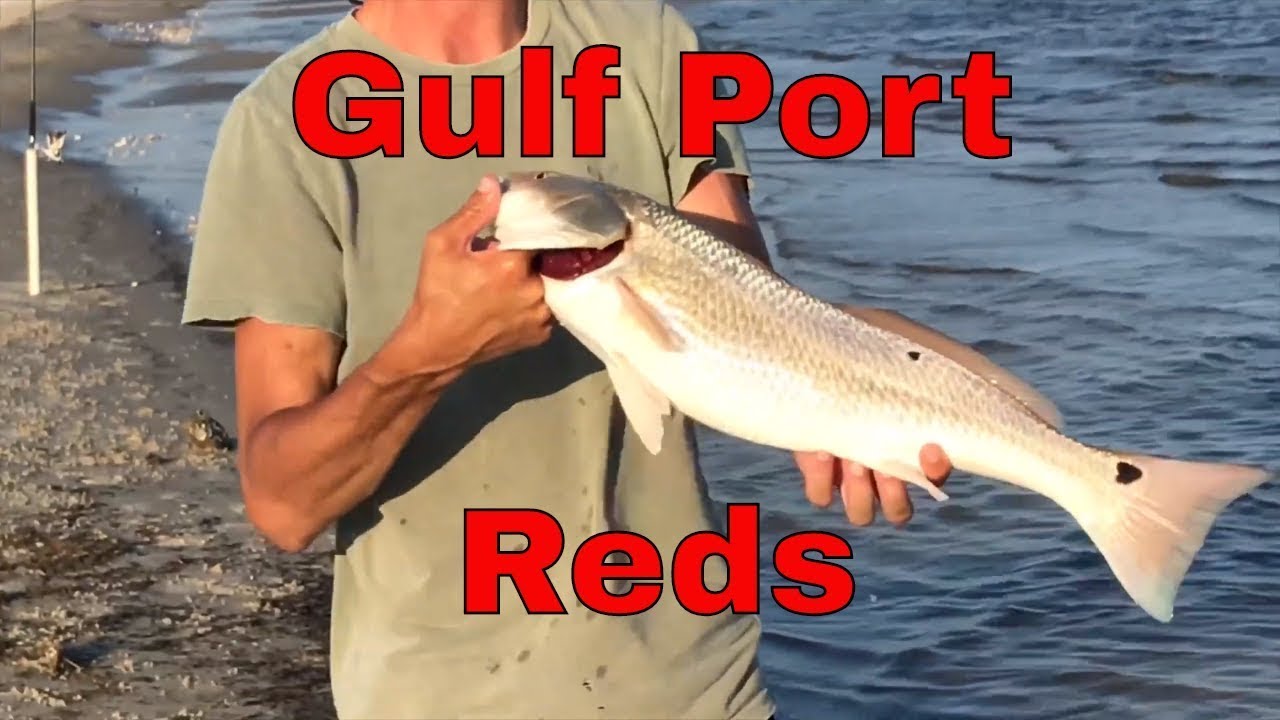 Surf Fishing for Redfish in Gulfport/Biloxi, Mississippi YouTube