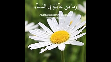 سورة النمل اية رقم ٧٤ القارئ اسلام صبحي