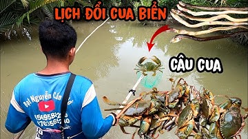 25 Cần Câu Hốt Hết Cua Trong Rạch /Đạt Nguyễn Cần Giờ