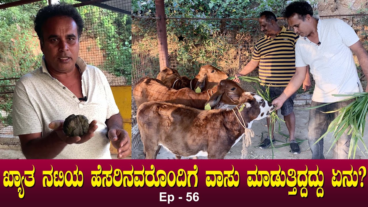 ಖ್ಯಾತ ನಟಿಯ ಹೆಸರಿನವರೊಂದಿಗೆ ವಾಸು ಮಾಡುತ್ತಿದ್ದದ್ದು ಏನು? ಸಗಣಿಯಿಂದ ಏನು ಲಾಭ? | Vasu Ep 56