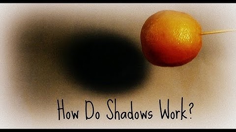 How Do Shadows Work? | Science For Kids (And not only :))