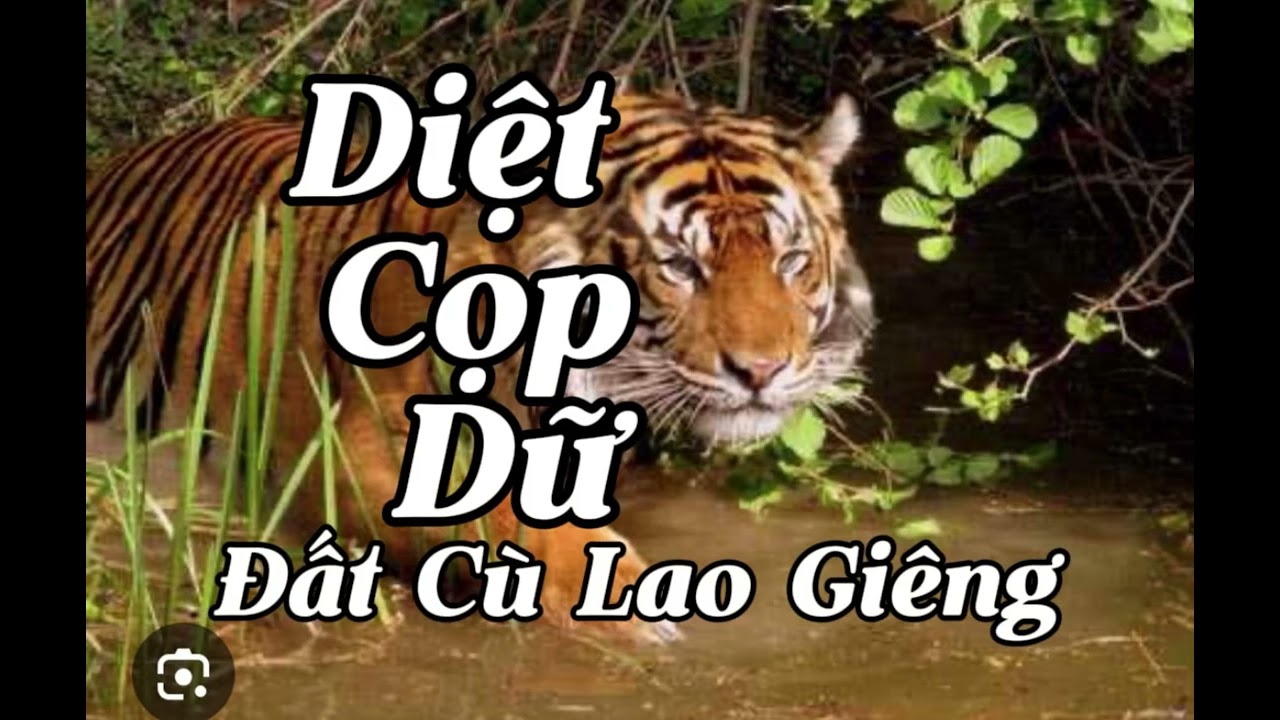 DIỆT CỌP DỮ TRÊN ĐẤT CÙ LAO GIÊNG |  CUỘC CHIẾN GIỮ ĐẤT ĐẪM MÁU VÀ NƯỚC MẮT | Lê Anh diễn đọc