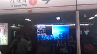 Ping 127.0.0.1@mtr